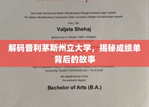 解码普利茅斯州立大学，揭秘成绩单背后的故事