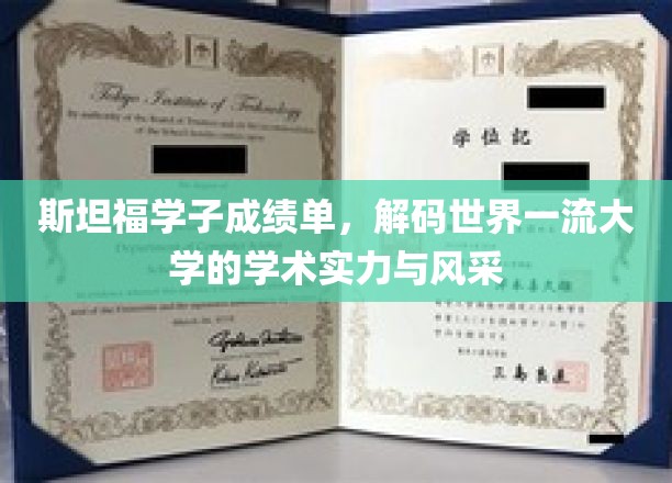 斯坦福精英榜，揭秘世界顶级学府的学术魅力与卓越风采