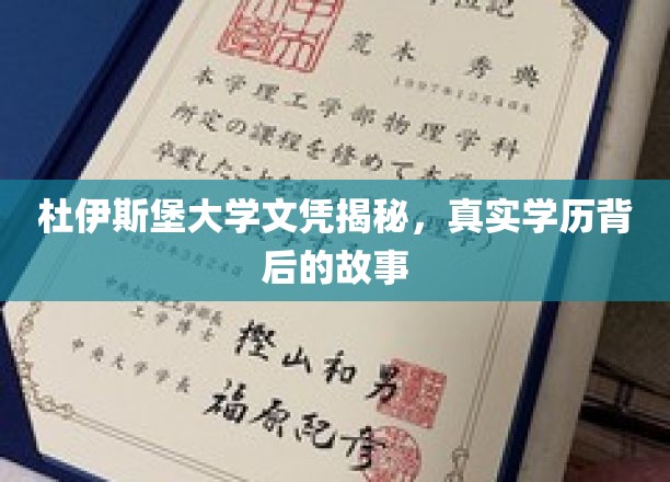 杜伊斯堡-埃森大学文凭揭秘，探索真实学历背后的故事