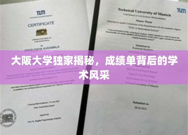 探寻大阪大学成绩单背后的学术魅力