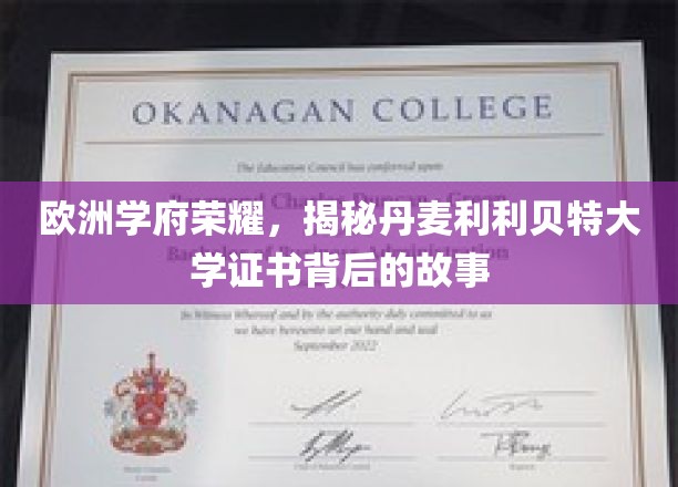 丹学之光，揭秘利利贝特大学证书背后的荣耀历程