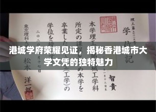 港城荣耀，香港城市大学文凭，解码其非凡吸引力