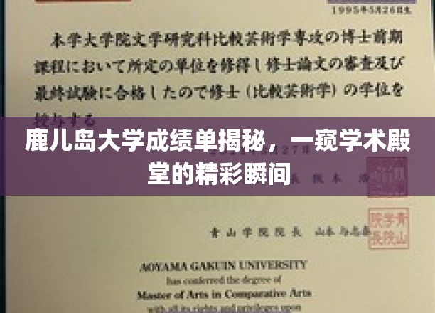 鹿儿岛大学成绩单揭秘，一窥学术殿堂的精彩瞬间