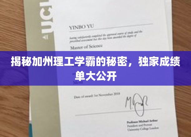 解码加州理工顶尖学子的智慧轨迹，揭秘不为人知的学霸秘籍