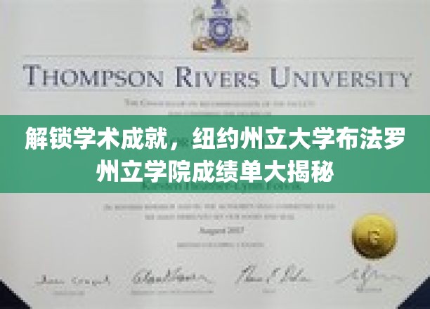 探索学术奥秘，纽约州立大学布法罗学院揭秘优秀成绩背后的故事