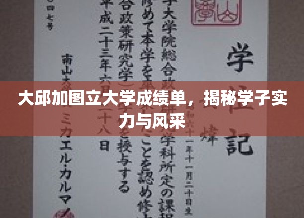 大邱加图立大学成绩单，揭秘学子实力与风采