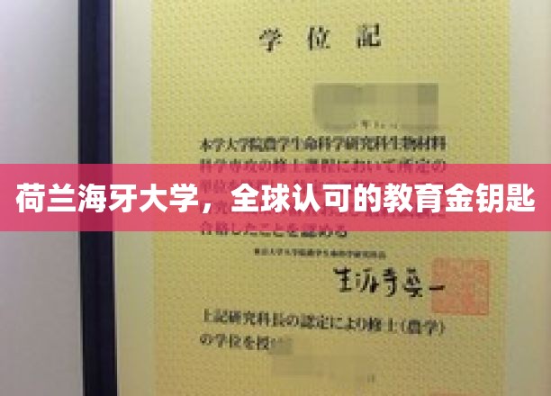 探索荷兰海牙大学，开启国际认可的学术之门
