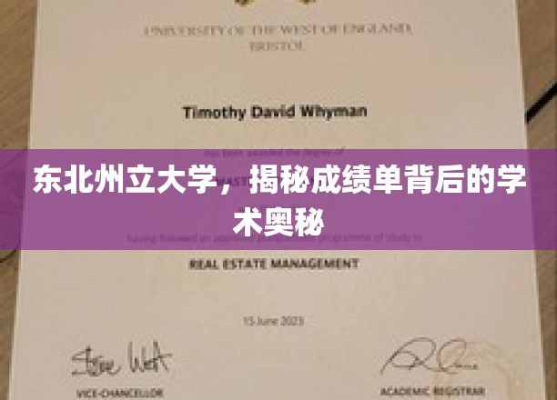 解码东北州立大学，揭秘成绩单背后的学术秘密