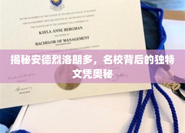 解码精英之路，安德烈·罗朗多名校文凭背后的秘密面纱