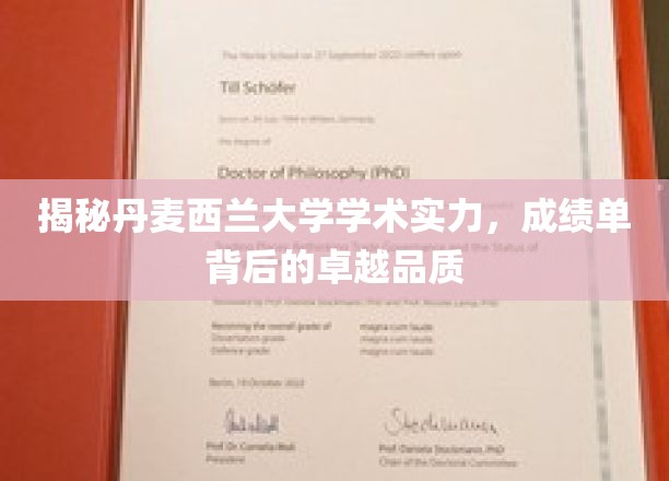 揭秘丹麦西兰大学学术实力，成绩单背后的卓越品质