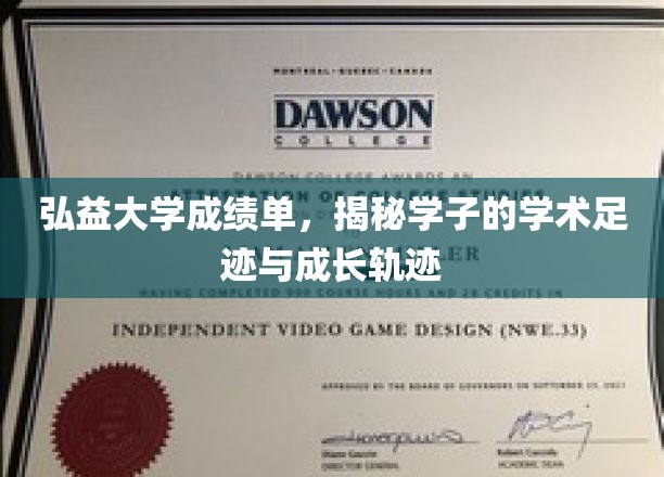 弘益大学成绩单，揭示学子的学术足迹与成长轨迹