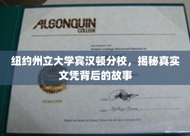 纽约宾汉顿分校文凭背后，一场关于教育诚信的探索之旅