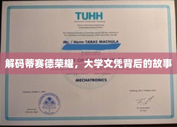 解码蒂赛德荣耀，大学文凭背后的故事
