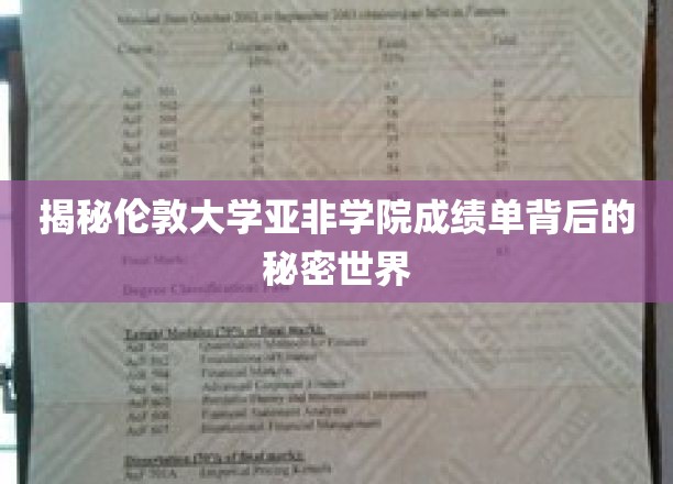 探寻伦敦大学亚非学院成绩单背后的神秘教育奥秘