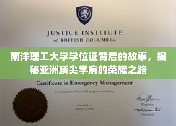 解码南洋理工，亚洲精英学府的学位证传奇
