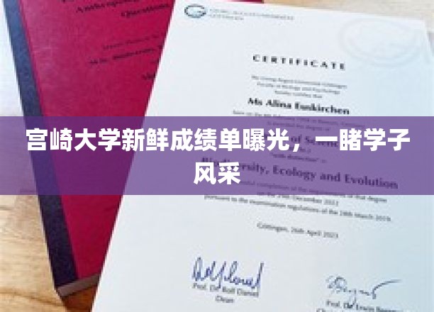 宫崎大学学子成绩斐然，一窥青春风采大盘点