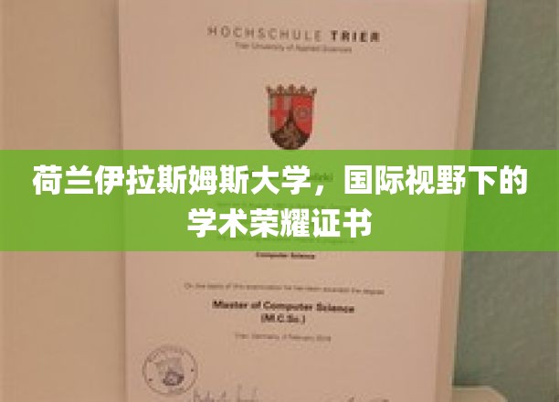 荷兰伊拉斯姆斯大学，国际视野下的学术荣耀证书