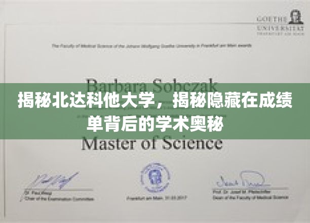 解码北达科他大学，探寻成绩单背后的学术秘密