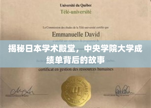 揭开中央学院大学成绩单背后的学术奥秘