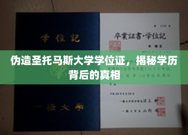 伪造圣托马斯大学学位证，揭秘学历背后的真相
