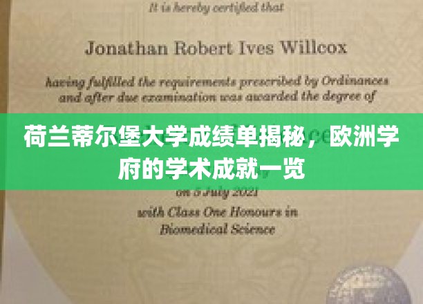 荷兰蒂尔堡大学，一窥欧洲顶尖学府的学术风采