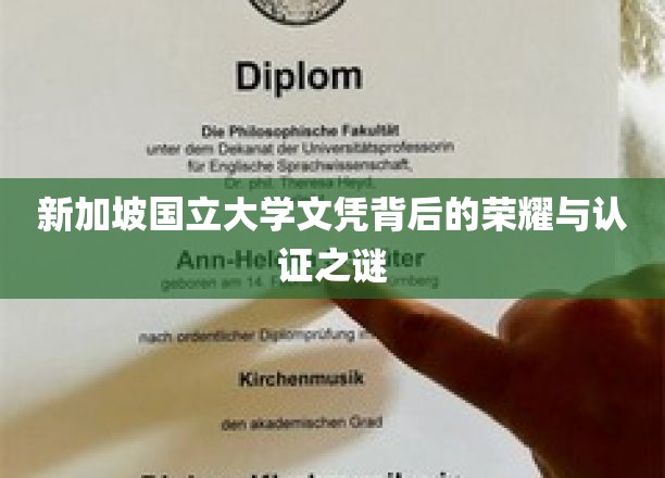 解开狮城学府荣耀证书的神秘面纱