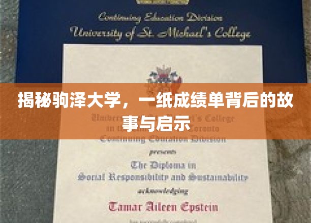驹泽大学成绩单，探寻背后深刻故事与成长启示
