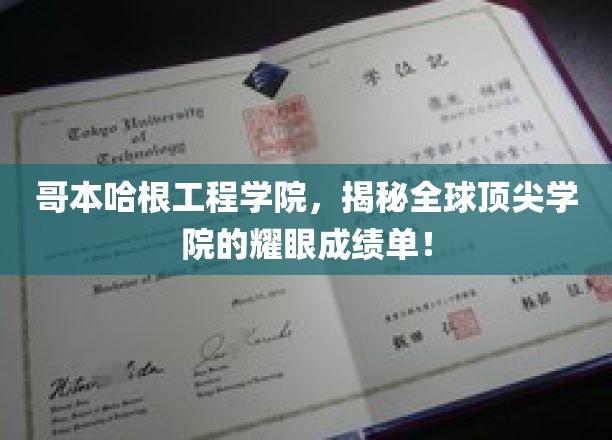 哥本哈根工程学院，闪耀全球的卓越成就揭秘