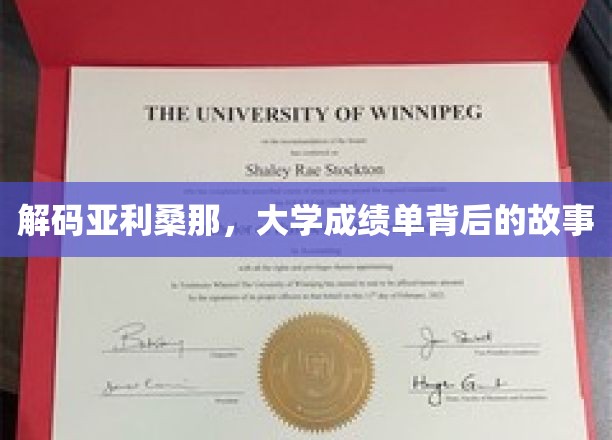 揭开亚利桑那大学成绩单的神秘面纱
