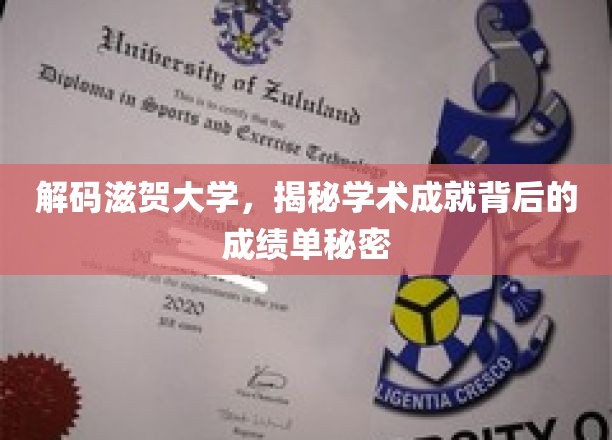 滋贺大学揭秘，探秘学术辉煌背后的硬核成绩单