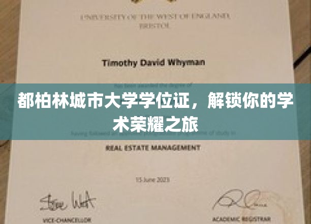 都柏林城市大学学位证，开启你的学术荣耀之旅