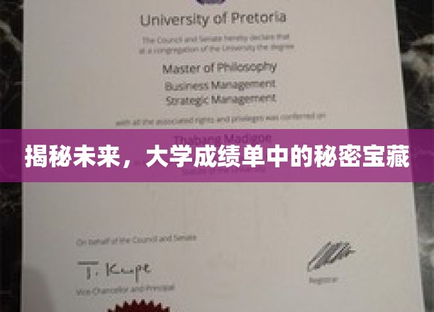 解码未来，一纸成绩单背后的无限潜能