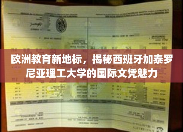 欧洲教育新地标：一探西班牙加泰罗尼亚理工大学的国际文凭魅力