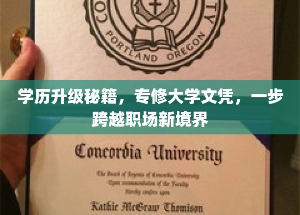 学历飞跃宝典，轻松获取大学文凭，职场跃迁不再是梦
