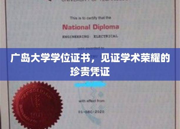 学术荣耀的象征，广岛大学学位证书的尊贵印记