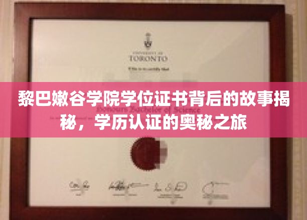探寻黎巴嫩谷学院学位证书之谜，学历认证的神秘面纱