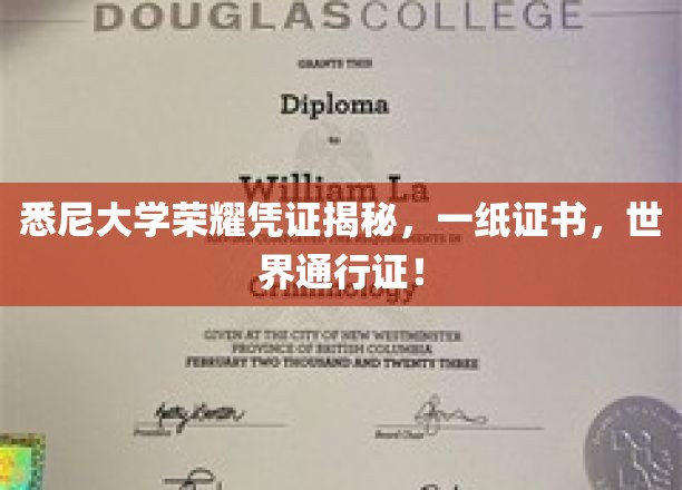 悉尼大学文凭，全球通行，揭秘荣耀背后的无限可能！