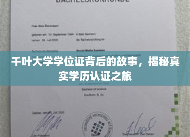 千叶大学学位证，探寻学历认证的非凡旅程