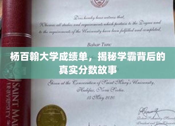 杨百翰学霸揭秘，隐藏在成绩单背后的真实分数传奇