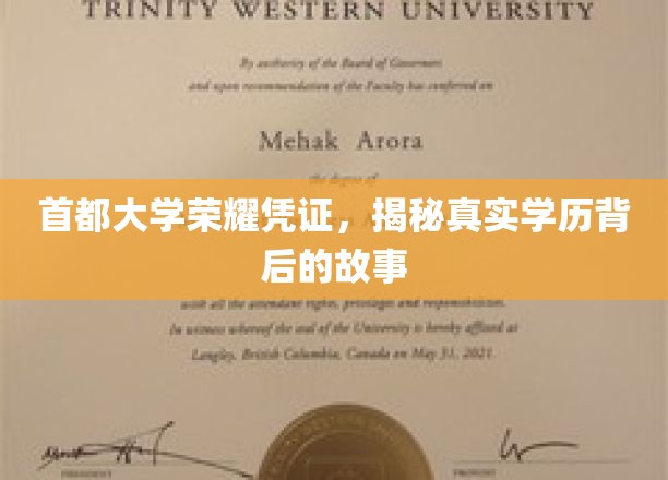 首都大学荣耀证书，揭秘真实学历背后的故事