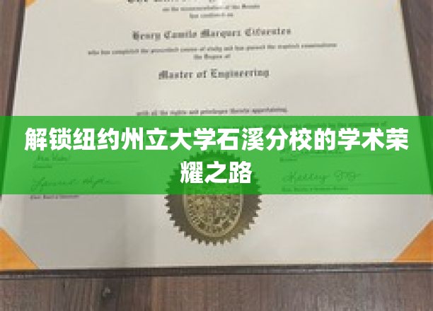 石溪分校辉煌探秘，纽约州立大学学术精英之路