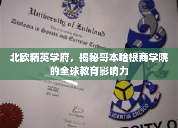探索哥本哈根商学院，北欧顶尖学府的国际教育足迹