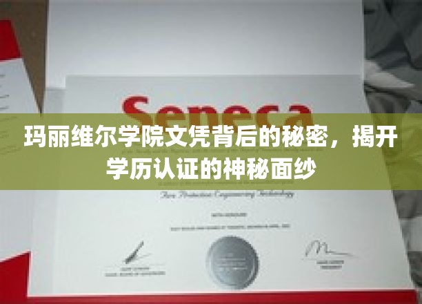 揭开玛丽维尔学院文凭之谜，学历认证的幕后真相
