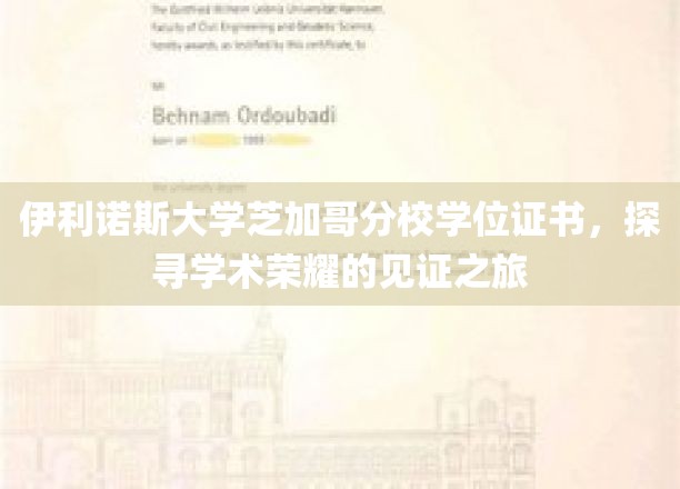 伊利诺伊大学芝加哥分校学位证书，见证学术荣耀的征途