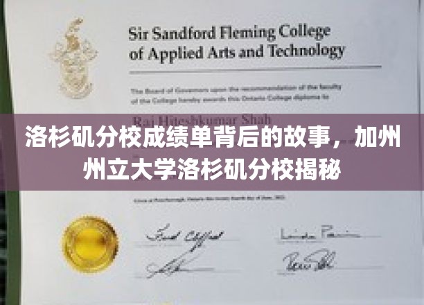 探寻加州州立大学洛杉矶分校成绩单背后的精彩人生