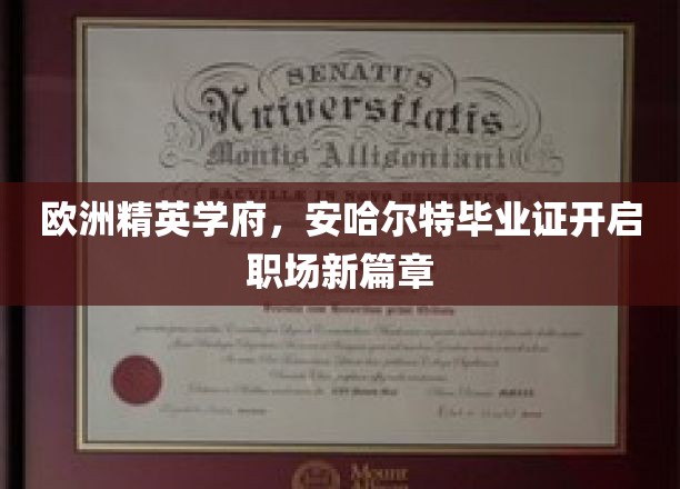 欧洲精英学府，安哈尔特毕业证开启职场新篇章