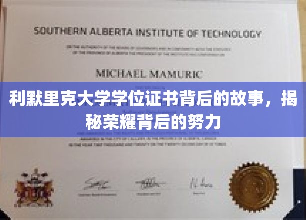 利默里克大学学位证书背后的故事，揭秘荣耀背后的努力