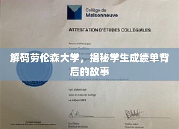 解码劳伦森大学，揭秘学生成绩单背后的故事