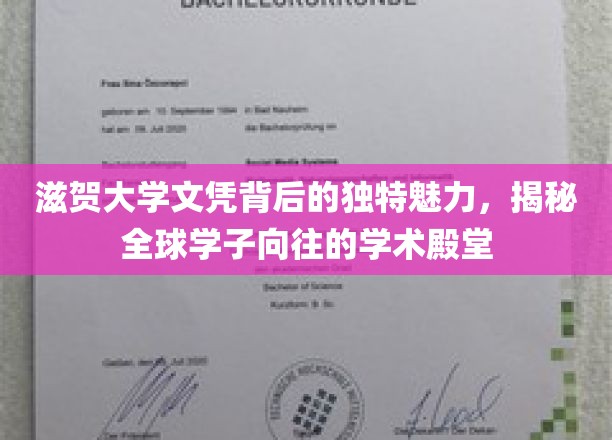 解码滋贺大学，学子心驰神往的学术圣地之谜
