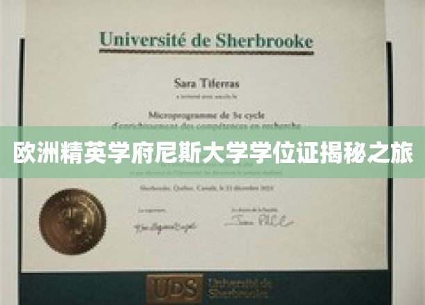 探寻尼斯大学学位证背后的传奇故事